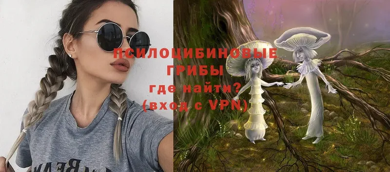 Псилоцибиновые грибы Psilocybe  Менделеевск 